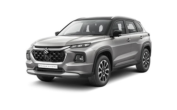 PEARL SPLENDID SILVER + BLACK (GX)